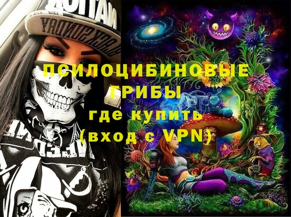 прущие грибы Зерноград