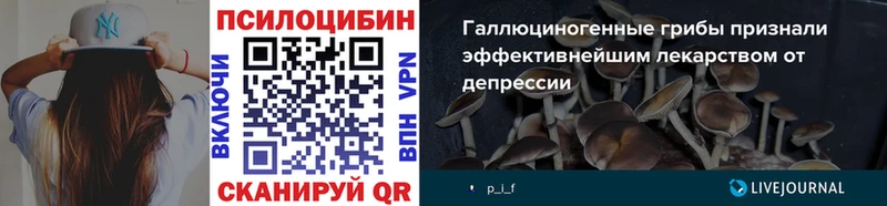 где можно купить   MEGA ТОР  Галлюциногенные грибы GOLDEN TEACHER  Давлеканово 