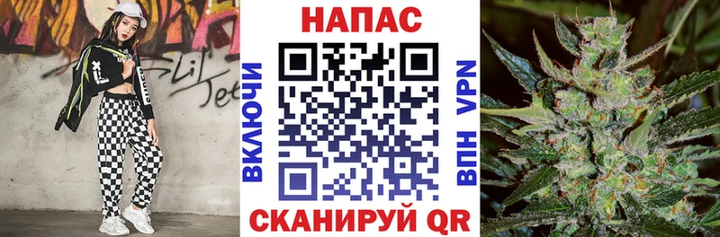 Конопля гибрид  Давлеканово 